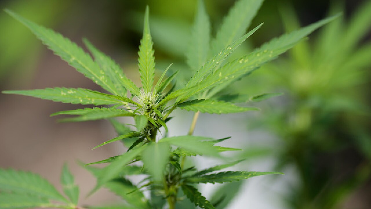Teacher in Florida abandons 4-year-old to buy marijuana