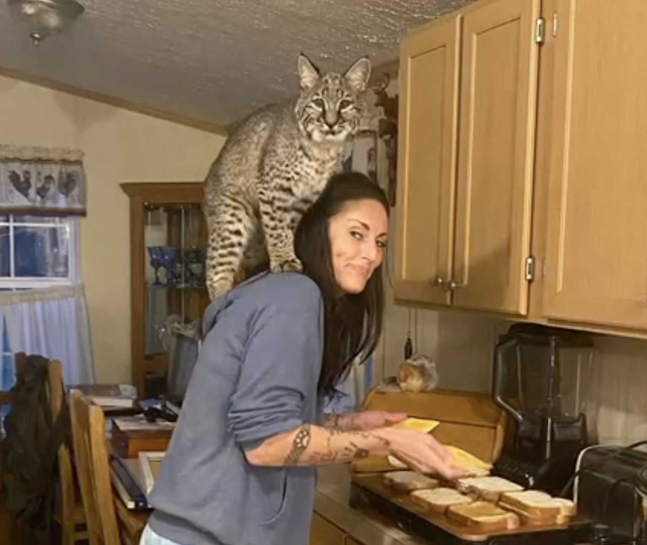 Leyah Pilkington with her pet bobcat Bane