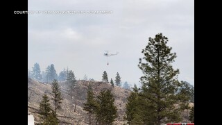 York Wildfire.jpg