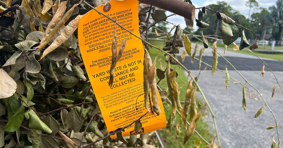 What do these orange tags on storm debris mean?