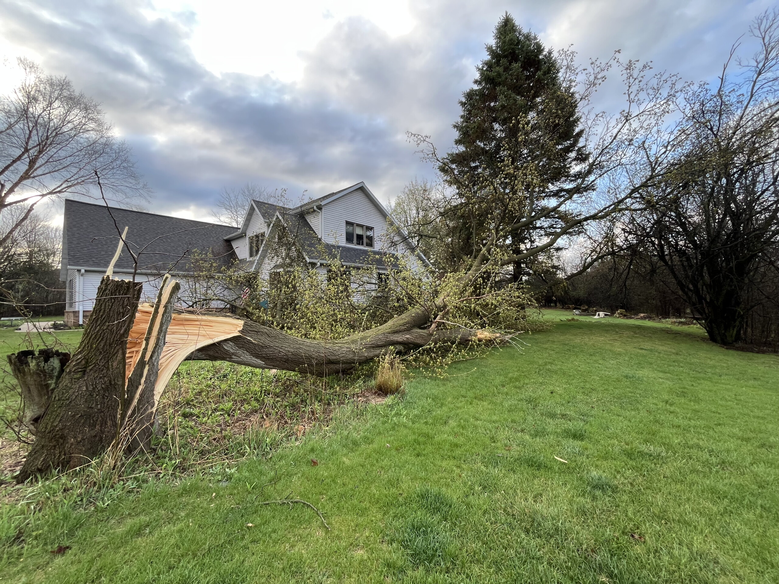 Overnight storms cause damage across Southeast Wisconsin