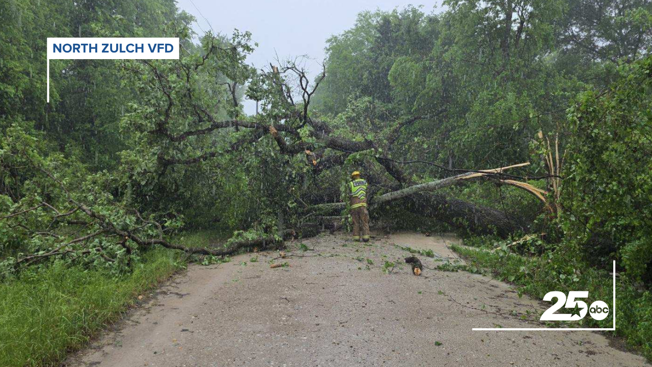 North Zulch Madison Co tree down storm