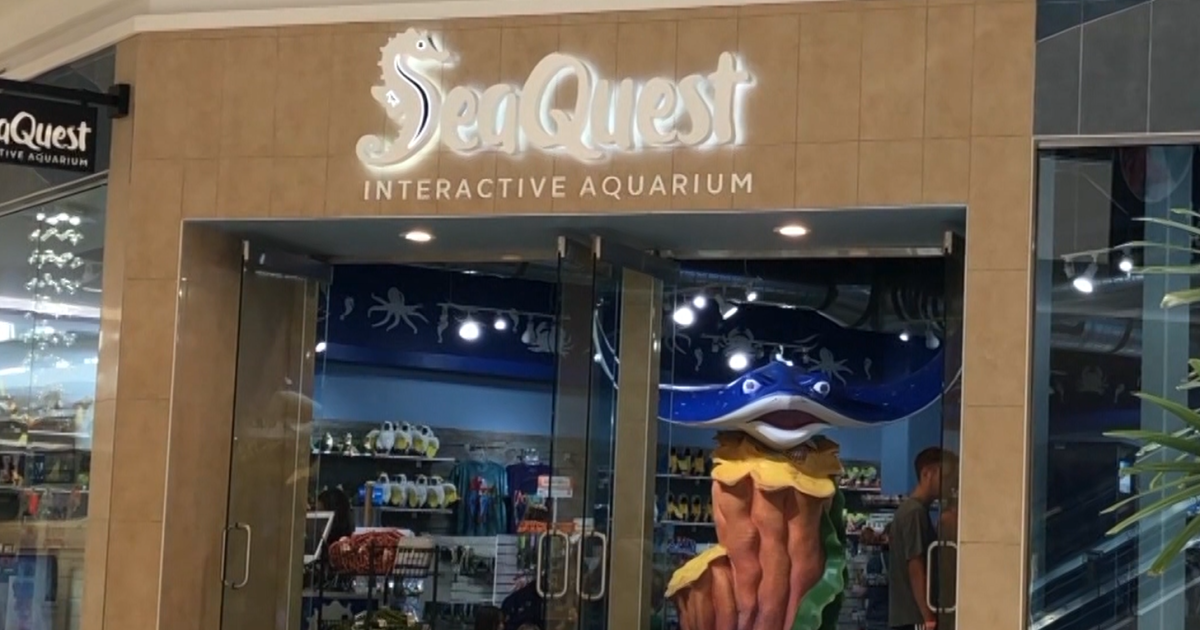SeaQuest Littleton to close after years of citations, injuries