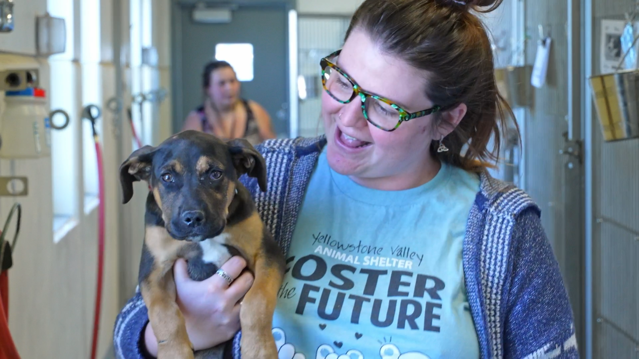 Katie Pauli, Foster Coordinator
