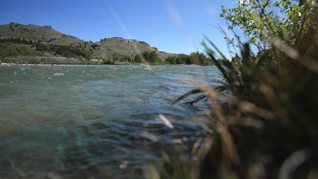 water 5_2.23.1.jpg