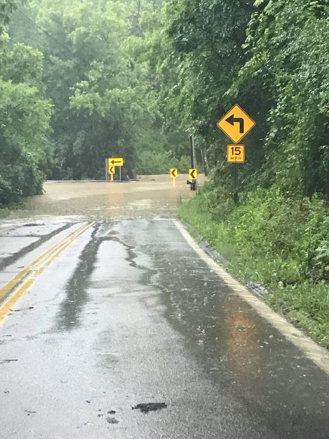 west fork and livingston.jpg