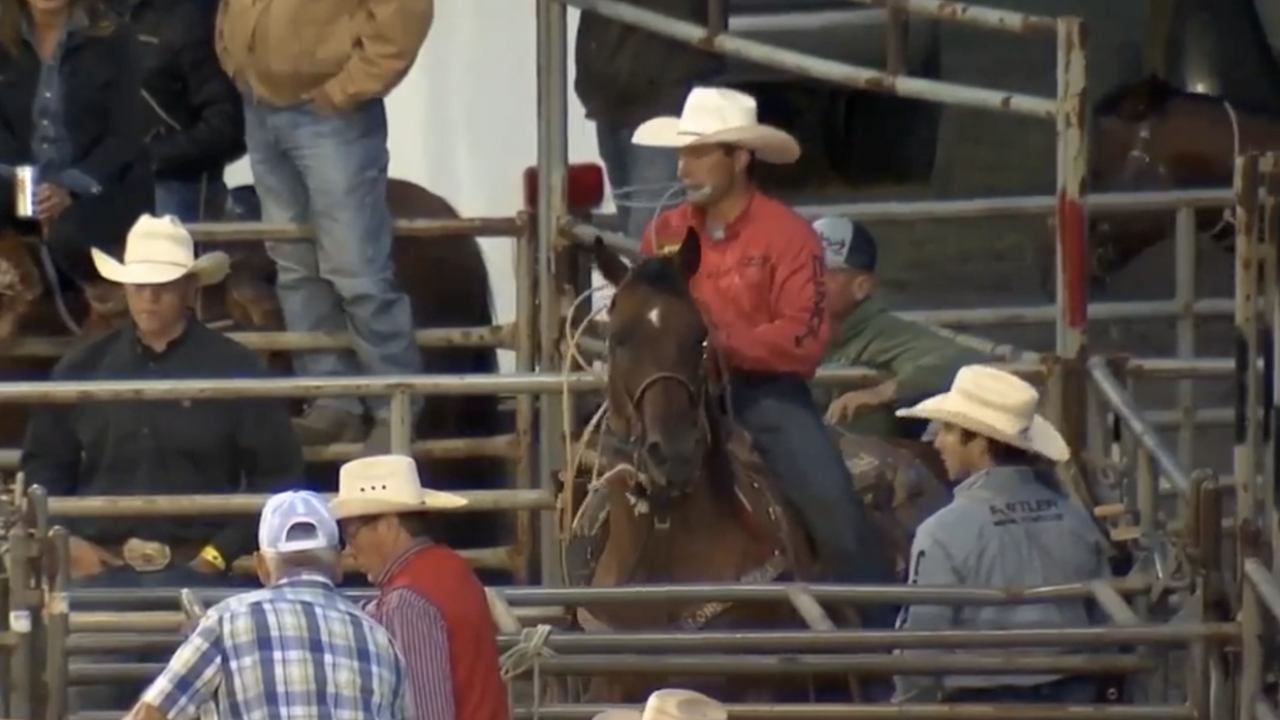 Outdoor rodeo returns to MontanaFair; a bold NILE revival with new arena