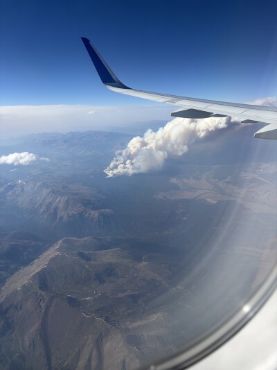 Willow Fire near Leadville June 28 2026