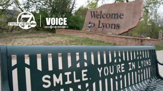lyonsYV.png