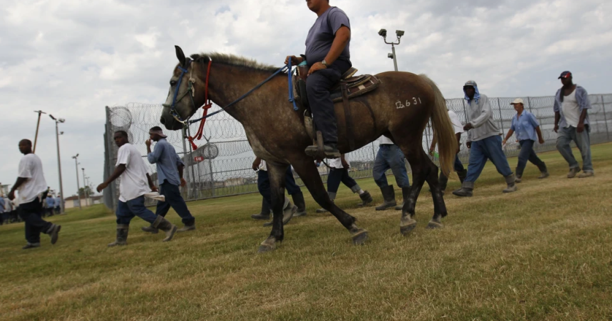 Louisiana prisoners allege dangerous conditions at Angola prison farm in lawsuit - Vimarsana News