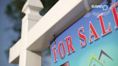 Susan Solves It: Trigger lead law passed