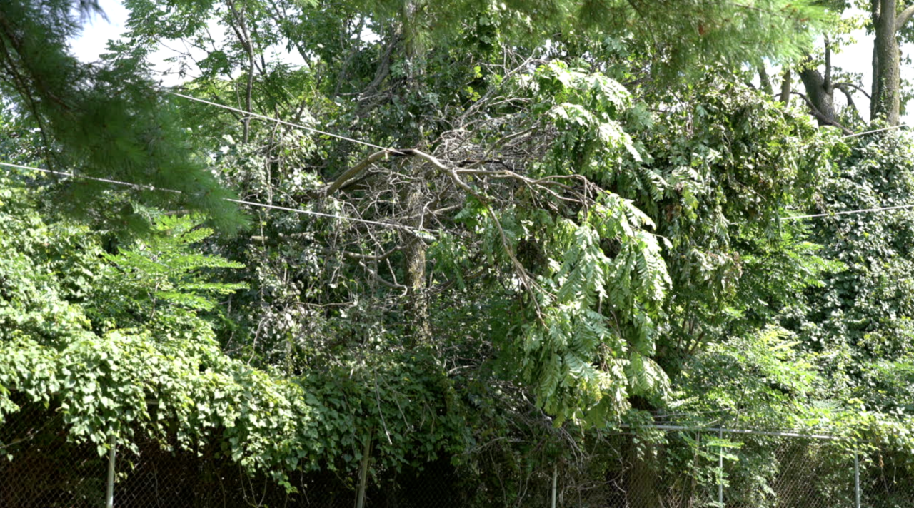 ridgewood branch
