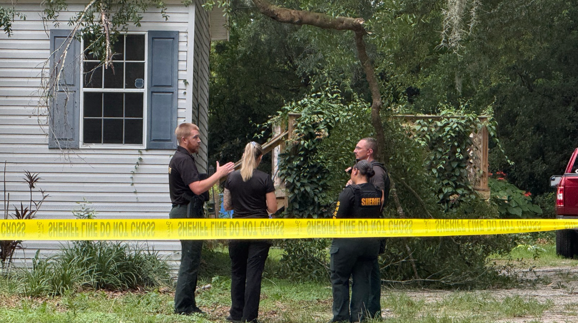 Tree falls on house
