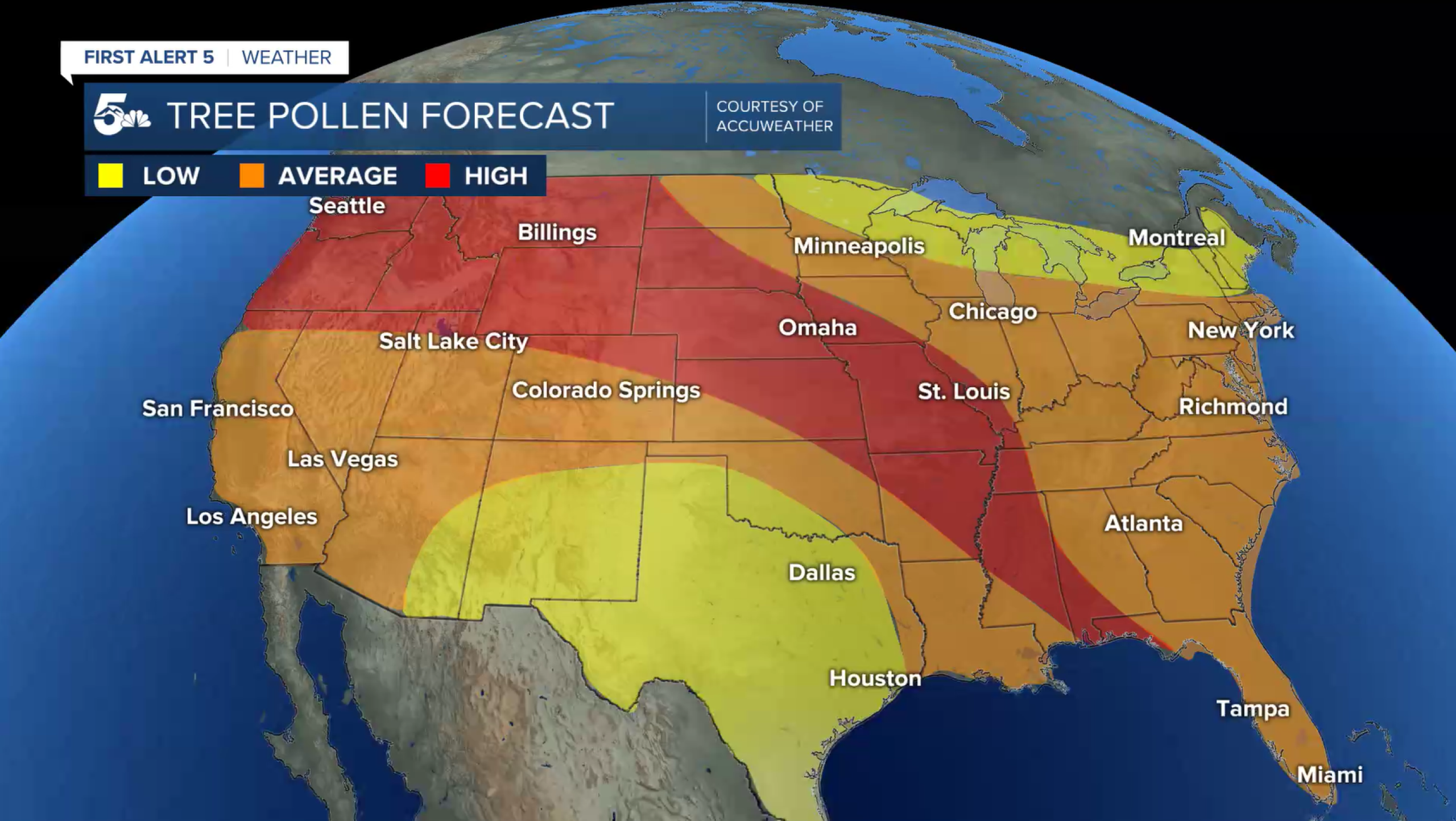 Tree pollen levels are on the rise: Here's a look at the forecast