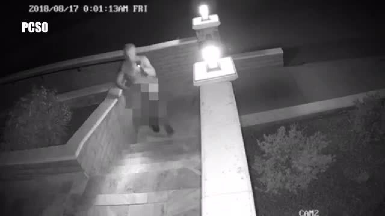 Florenz nacktes Video, Heißes Mädchen Monsterschwanz anal