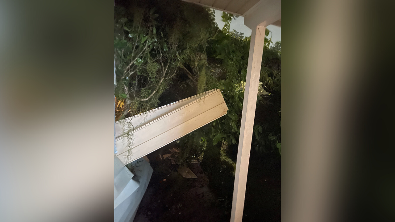 TAFY tree into brandon home 2.png