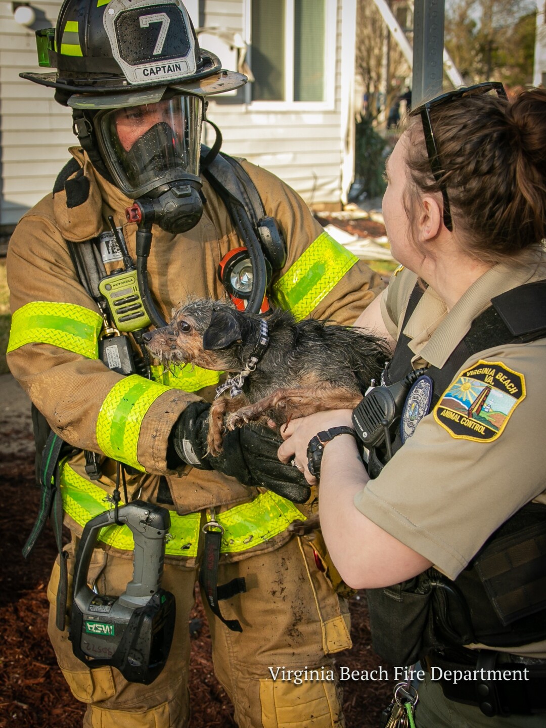 Indian Lakes ApartmentsC.jpg