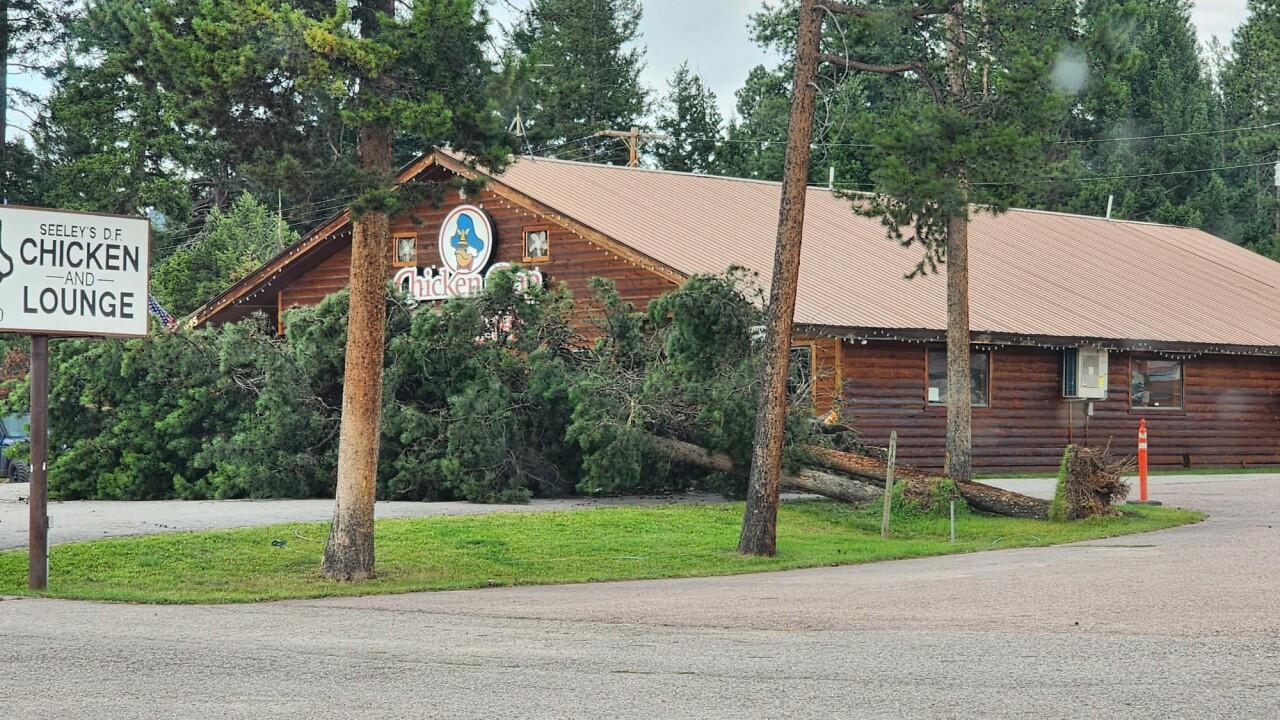 Seeley Lake Wind Damage