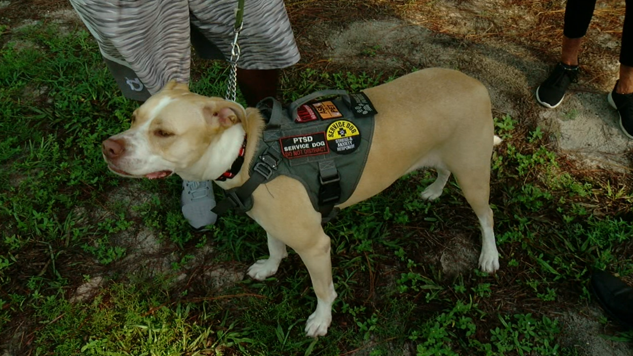 Anthony McLaurin Daisy Tullys Tails2.png