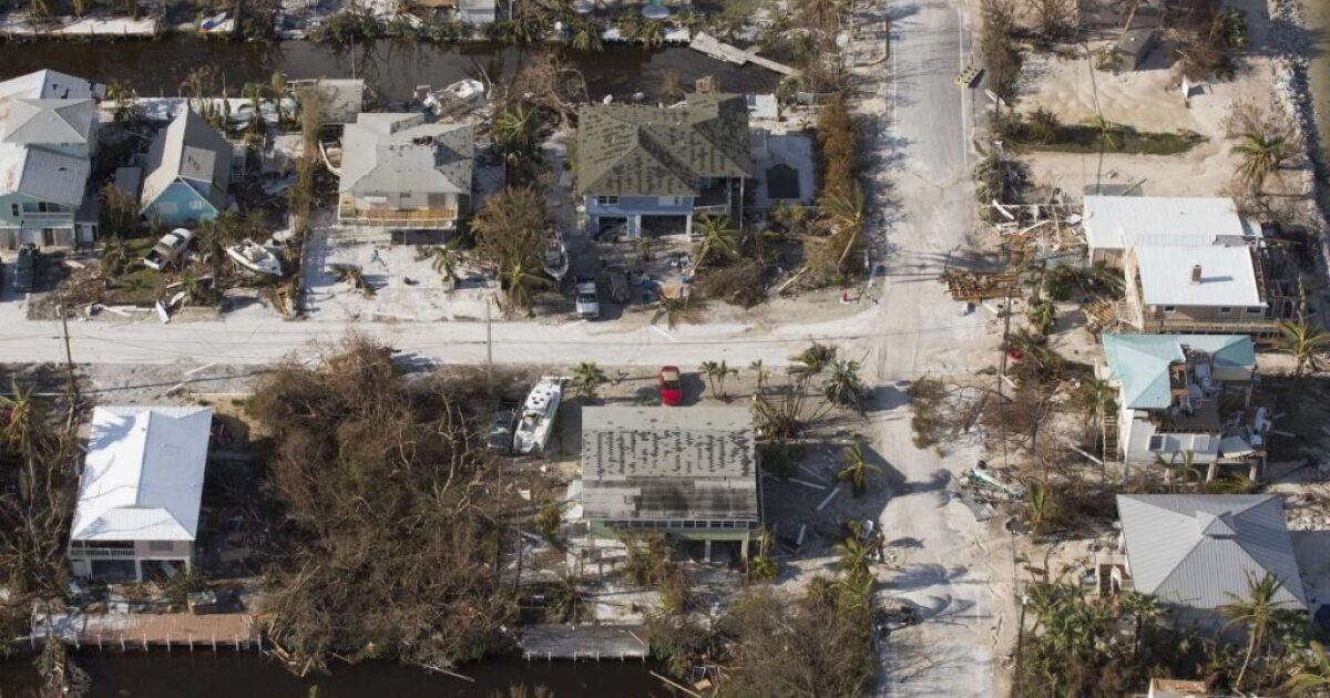 Florida agricultural losses from Idalia estimated to top $78 million - Vimarsana News