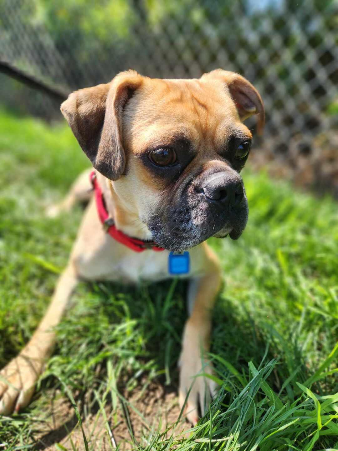 355603121_976096066774374_2391634952033699357_n (2).jpg