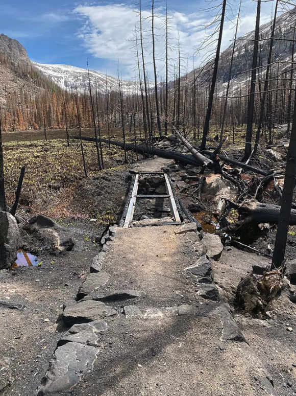 Footbridge along the Tonahutu Trail after the East Troublesome Fire.