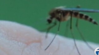 Consumer Reports names top insect repellents