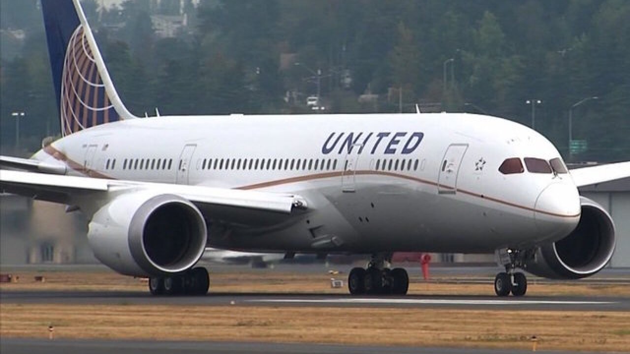 United Airlines resumes flights after temporary ground order