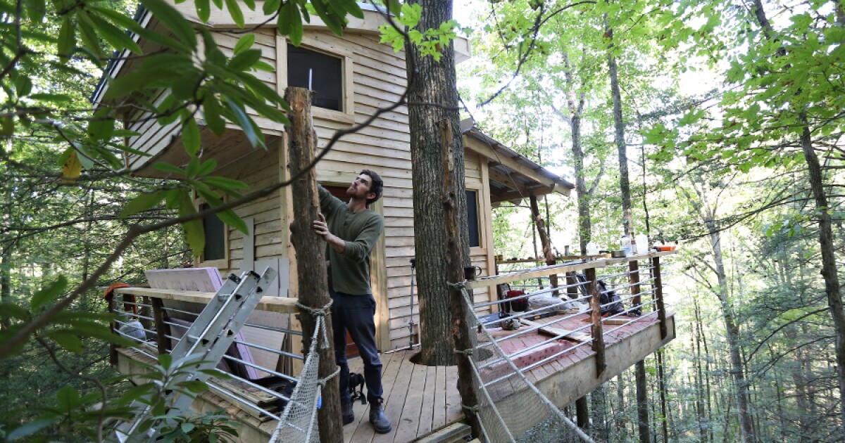A View From Above Experience The Red River Gorge From A Tree S Eye View