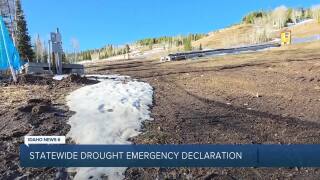 Poster image (3).jpg