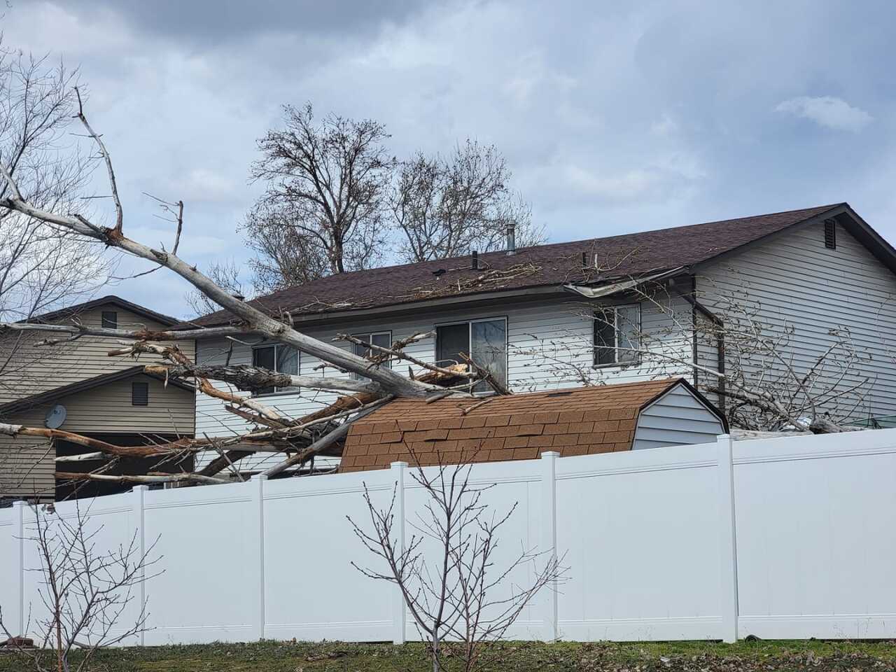 Clearfield Barbara Chudik Nusz.jpg