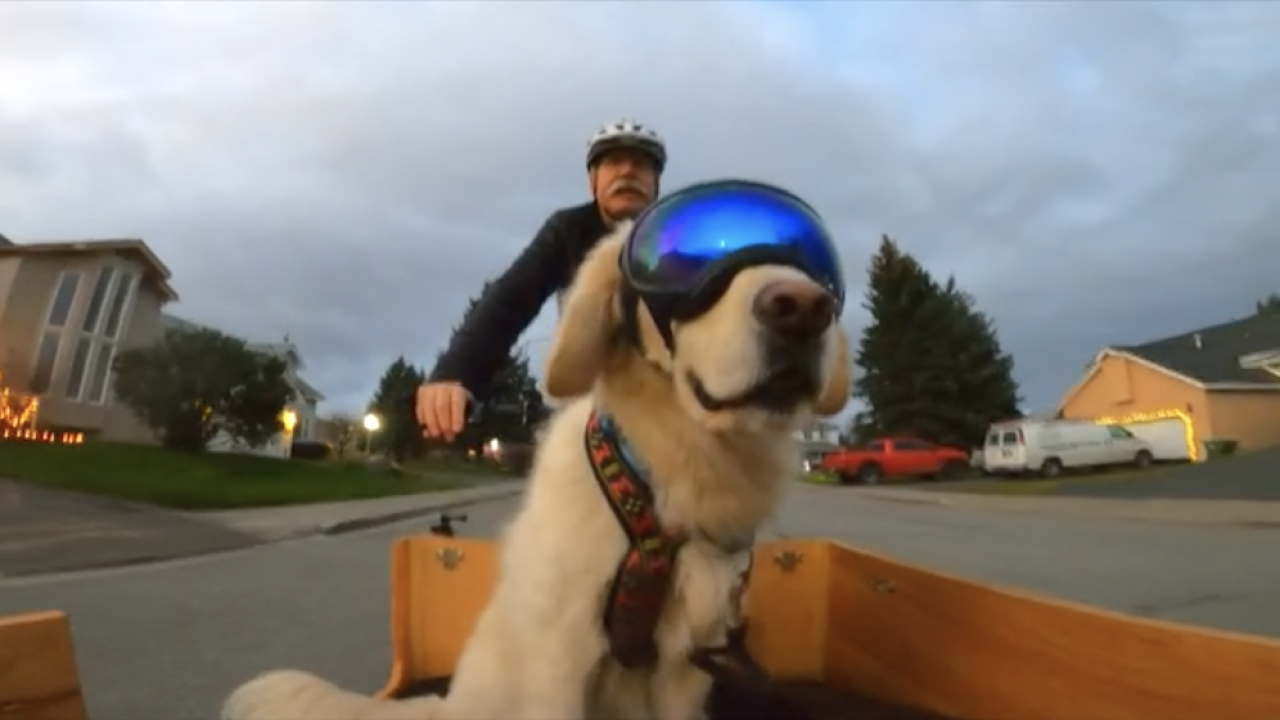 Screen Shot 2022-10-24 at 12.40.37 PM.png