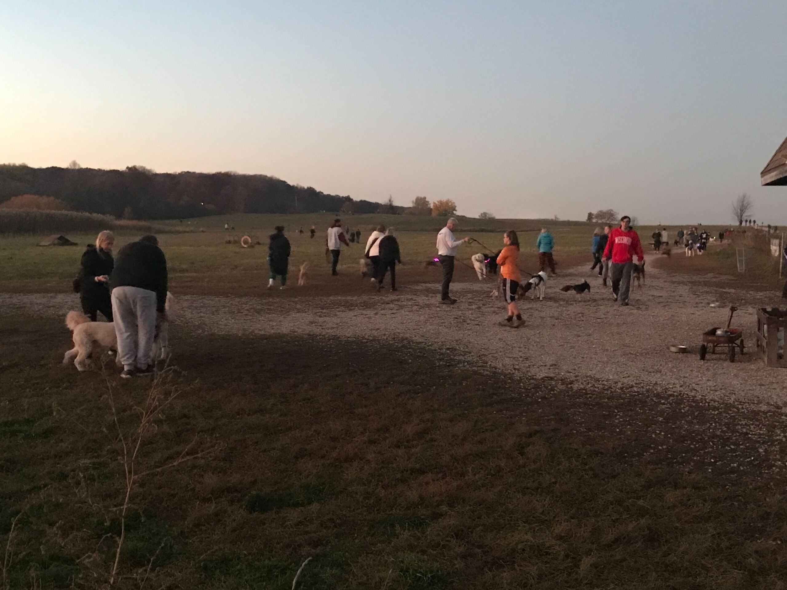 Pups pack Runway Dog Park on its last night following FAA orders to close