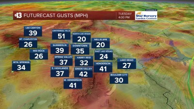 Wind gusts 