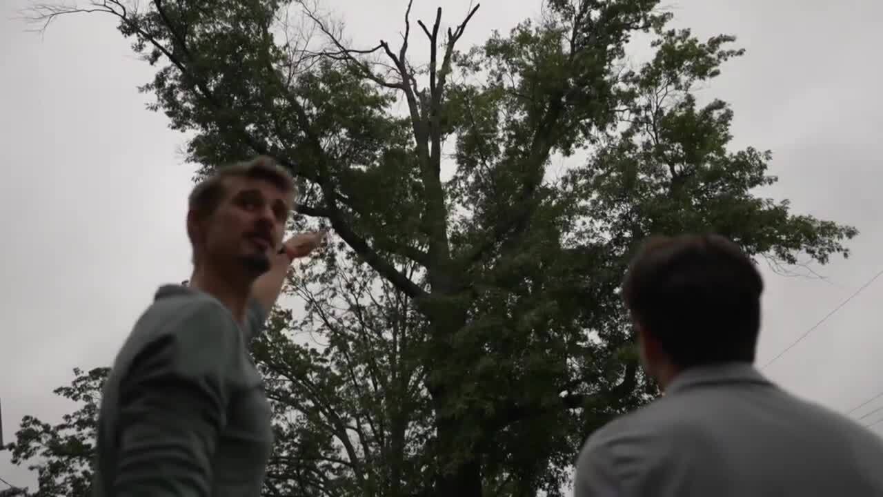 Poster image - 2024-08-09T171728.695.jpg