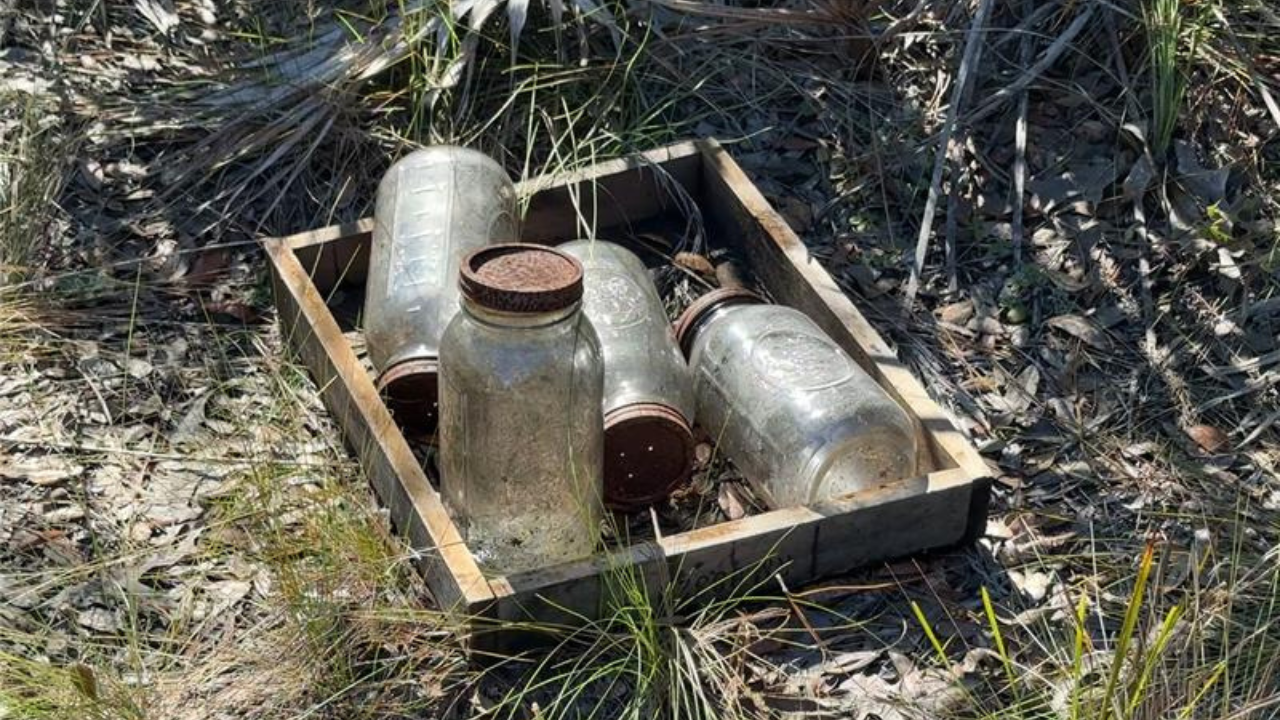 Site where the hives were taken