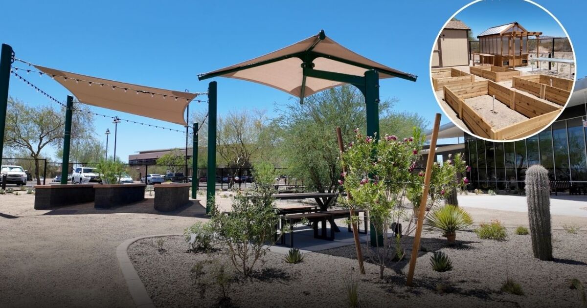 A first look at Apache Junction Public Library’s new outdoor garden and community space