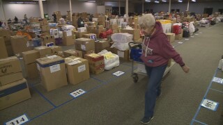 2019 Toy Sorting_1.jpg