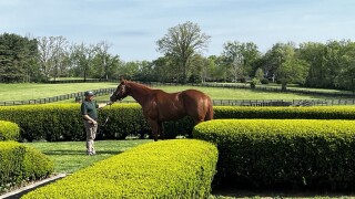 Airdrie Stud