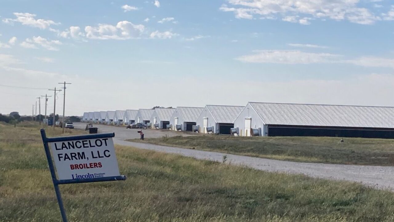 Chicken barns.jpg