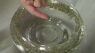 Hooked on Science: The importance of washing your hands