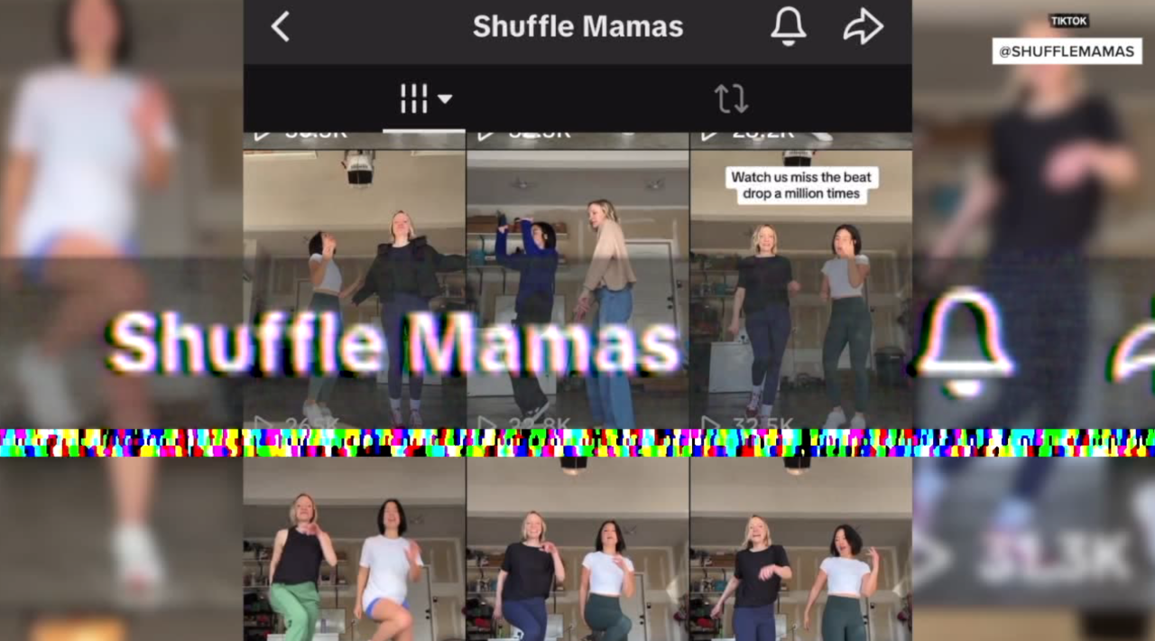 Shuffle Mamas screen shot.png