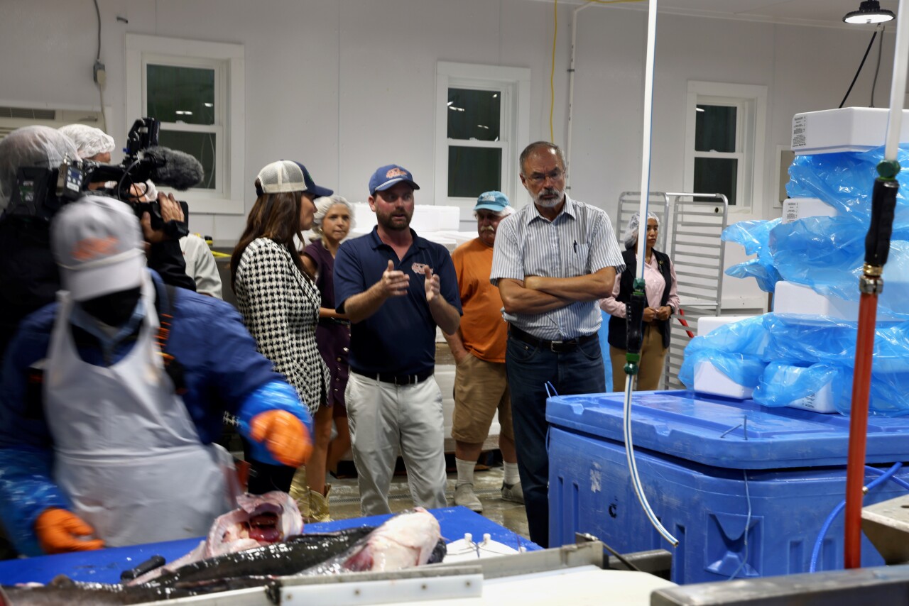 USDA Announcement 3.jpg