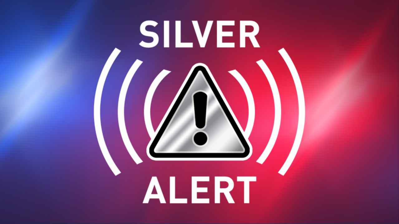 A generic logo showing the words "Silver Alert" on a background of red and blue