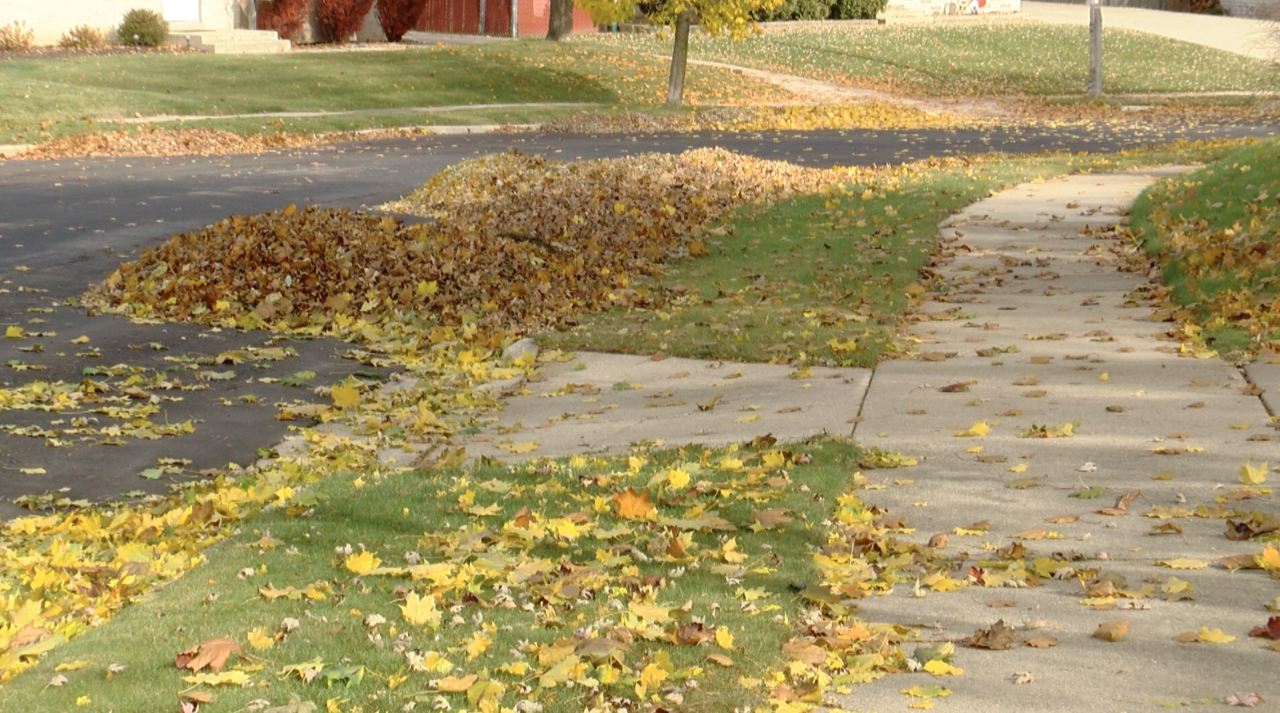 Screenshot 2025-11-10 at 3.30.53 PM.png