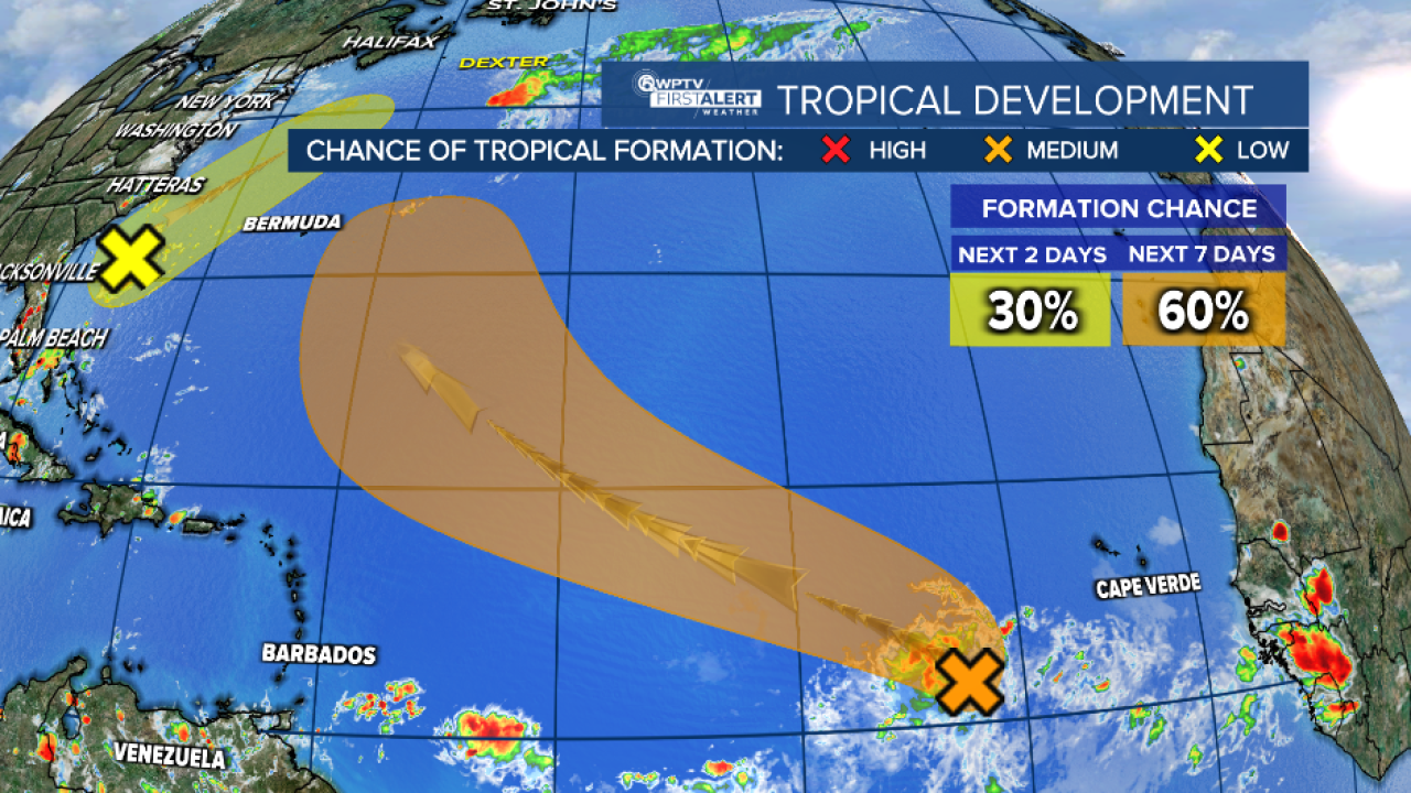 tropics 2.PNG