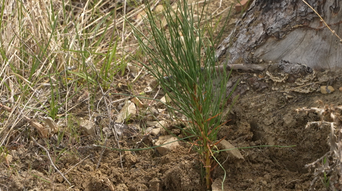 Screen Shot 2026-04-15 at 6.19.31 PM.png