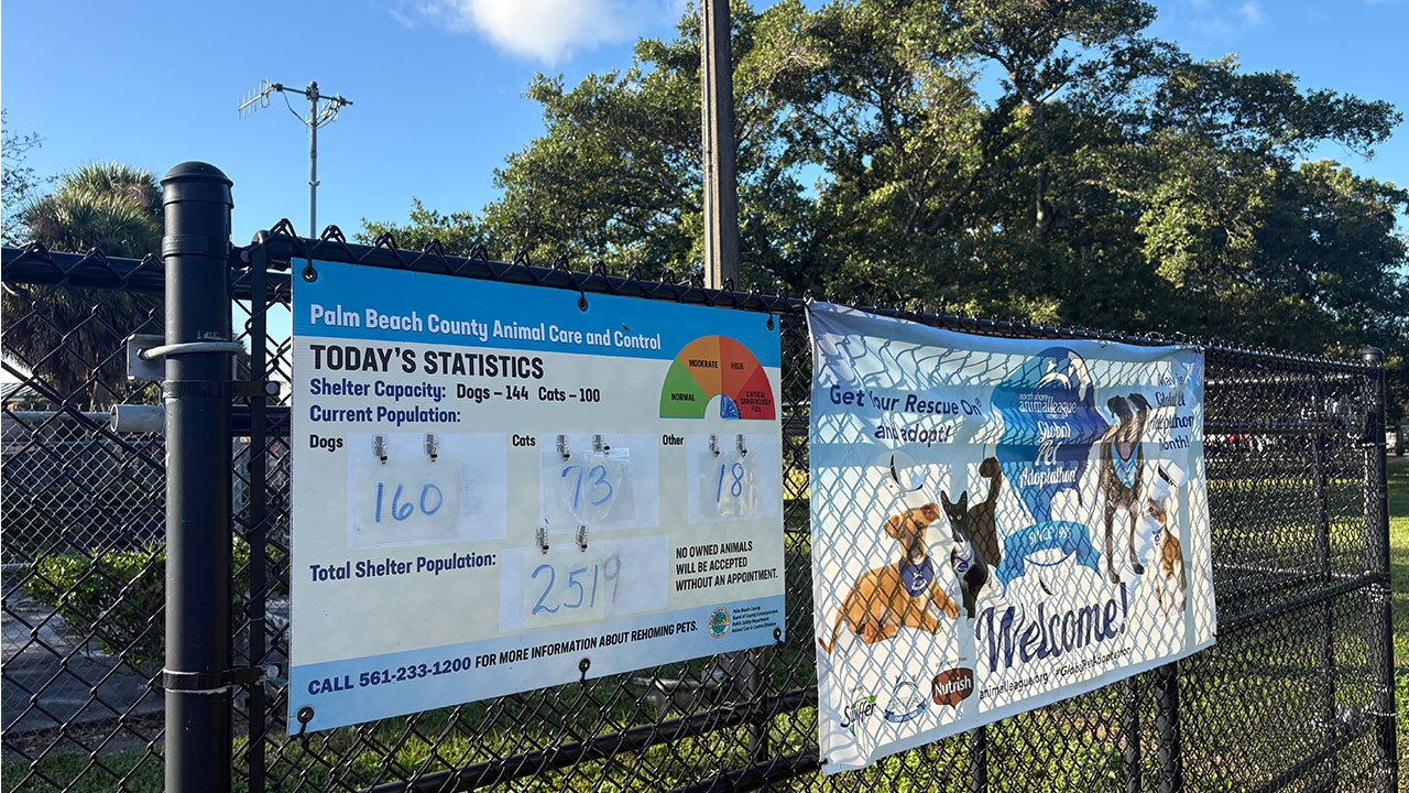 Palm Beach County Animal Care & Control count