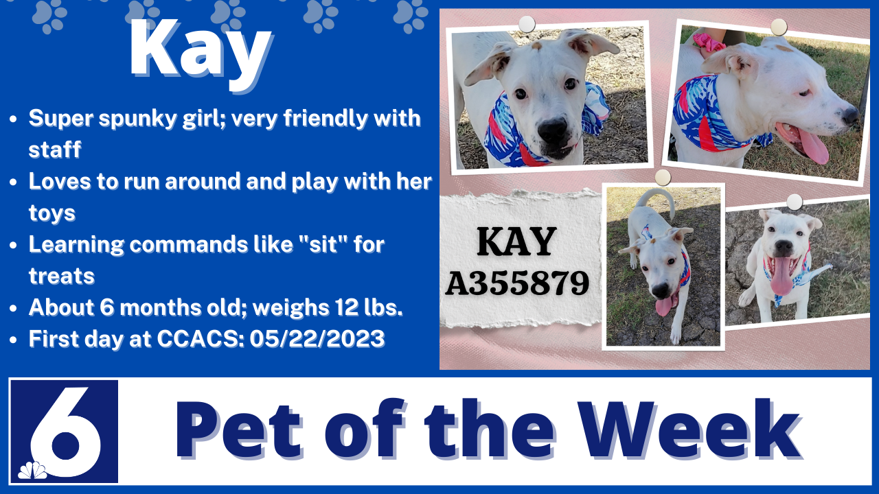 Pet of the Week: Kay 
