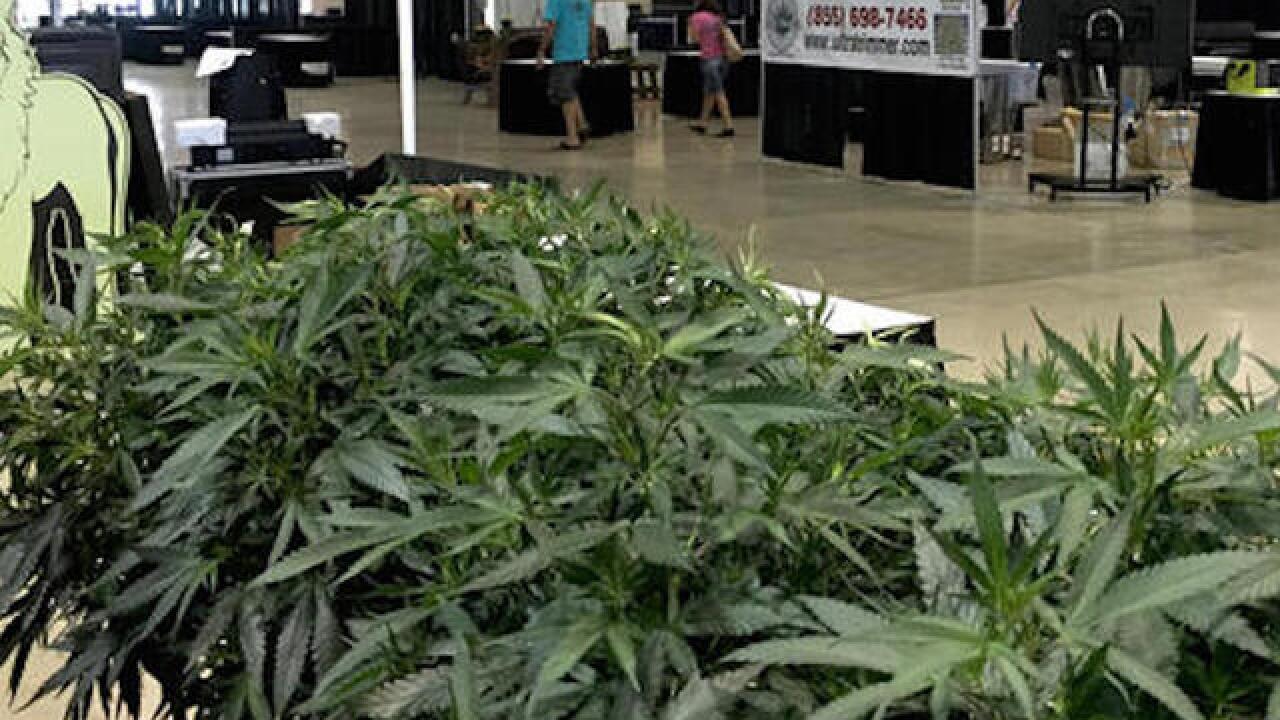 First-ever marijuana growers' fair opens in Oregon